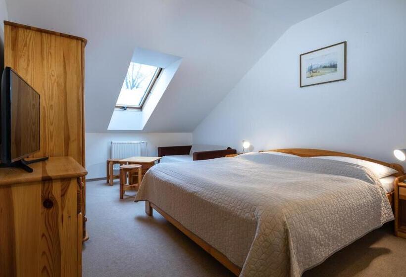 غرفة قياسية, Penzion Za Mlynom