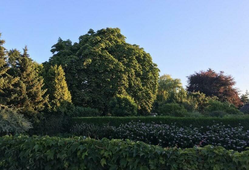带共用浴室的标准房间, La Nuova Casa Del Campo