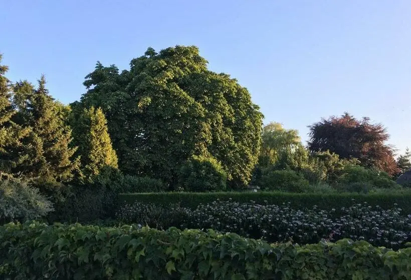 Standard-huone Jaettu Kylpyhuone, La Nuova Casa Del Campo