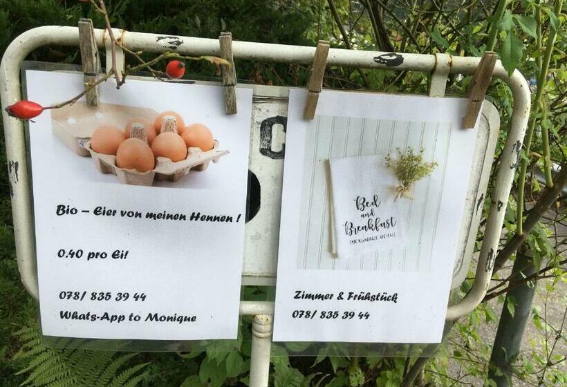 Номер Стандарт, Leimernhof