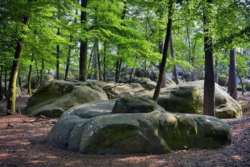 חיבור הדירה עם חדר שינה אחד, Maison De Charme En Forêt De Fontainebleau