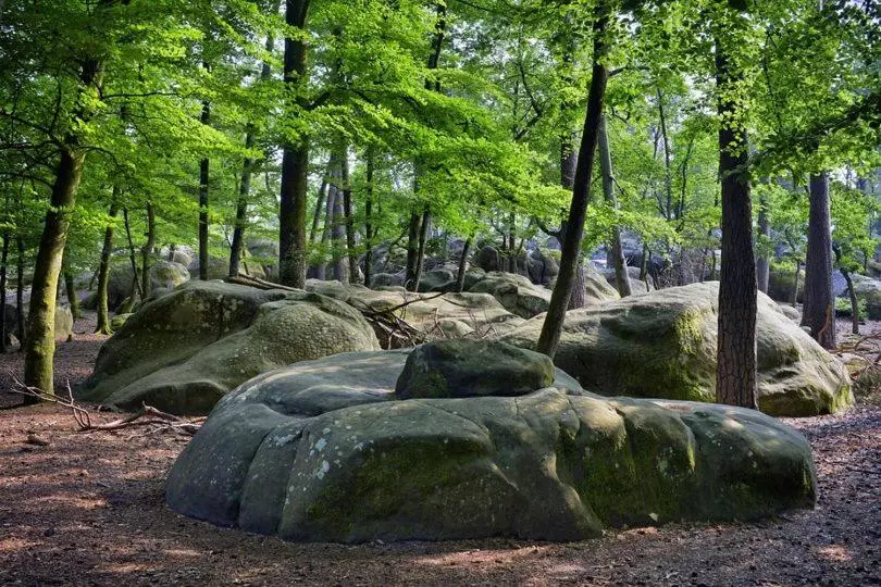 1ベッドルームアパートメントをつなぐ, Maison De Charme En Forêt De Fontainebleau