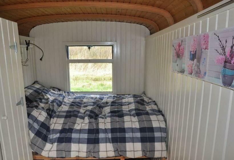 １ベッドルームハウス, Sitting At The Bay