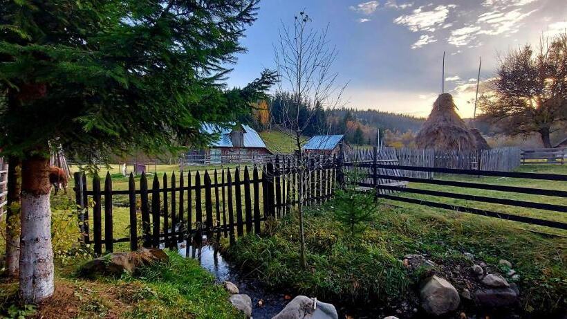 ‫فيلا غرفة نوم واحدة, Casa Gramy