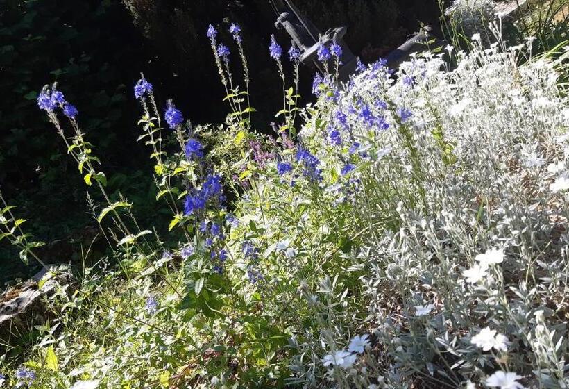 חדר בסיסי, La Maison Des Maîtres De Forge