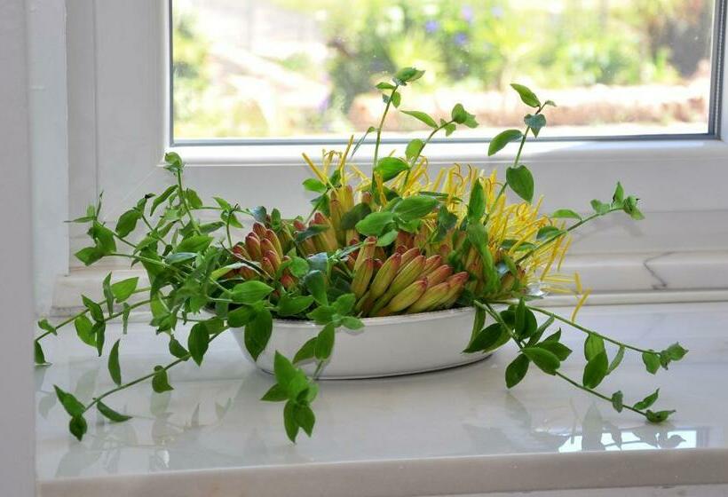 스탠다드 룸, Sleep In Bucelas