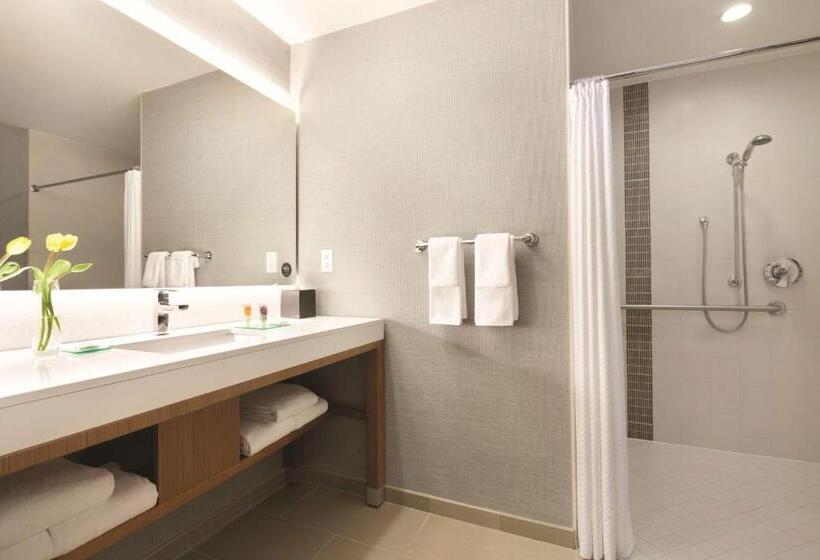 اتاق استاندارد با تخت بزرگ, Hyatt Place At Anaheim Resort/convention Center