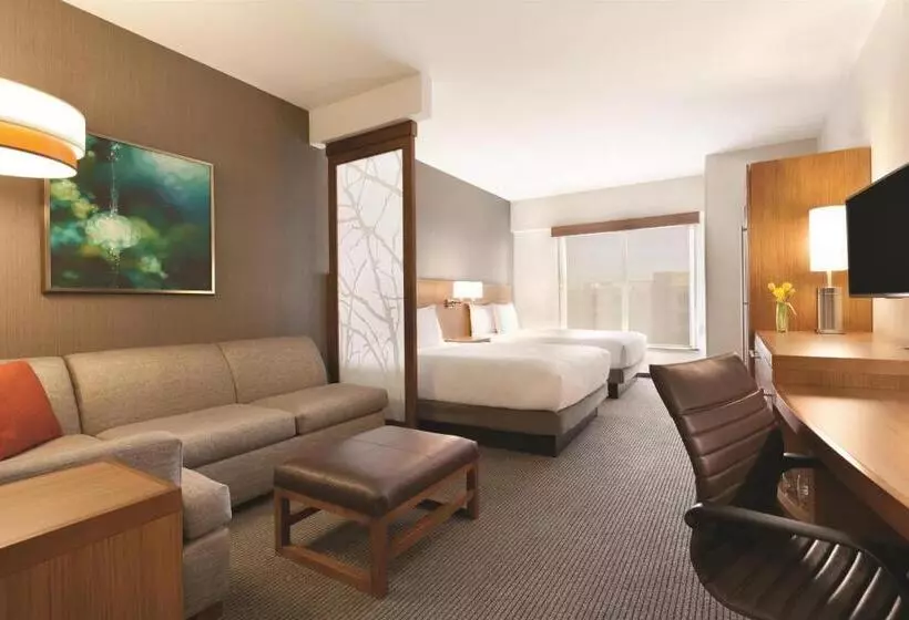 身障者適用スタンダードルーム, Hyatt Place At Anaheim Resort/convention Center