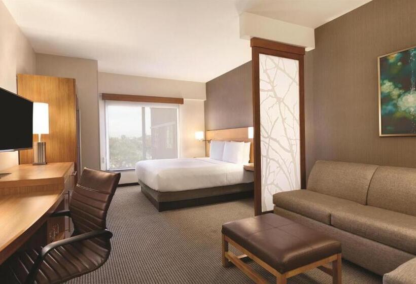 Стандартный Номер Кровать Кинг, Hyatt Place At Anaheim Resort/convention Center
