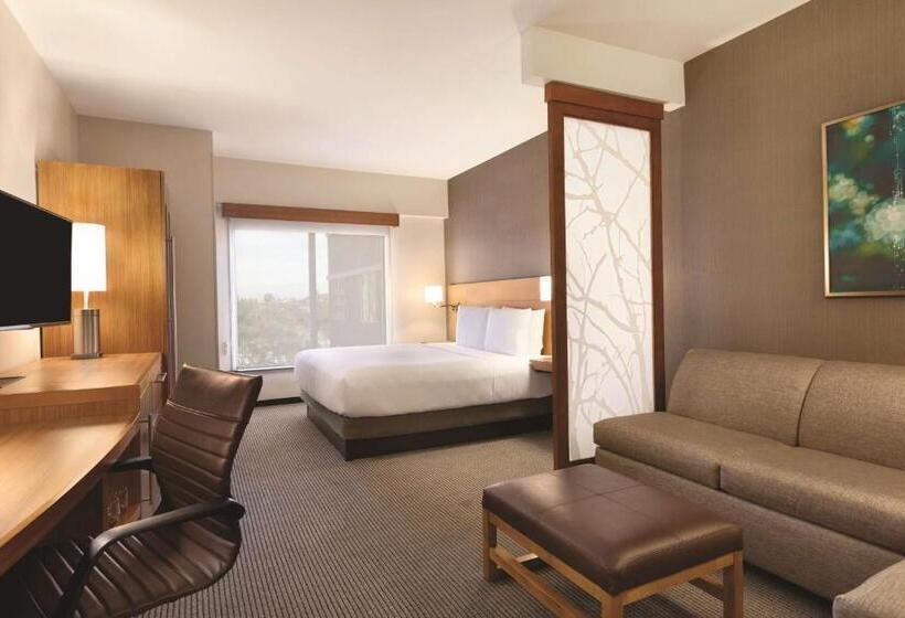 Номер Стандарт Кровать Кинг Адаптированный для Инвалидов, Hyatt Place At Anaheim Resort/convention Center