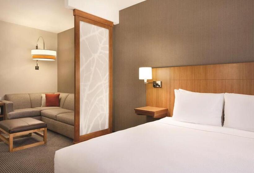 Номер Стандарт Кровать Кинг Адаптированный для Инвалидов, Hyatt Place At Anaheim Resort/convention Center