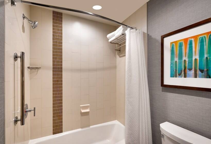 Номер Стандарт Адаптированный для Инвалидов, Hyatt Place At Anaheim Resort/convention Center