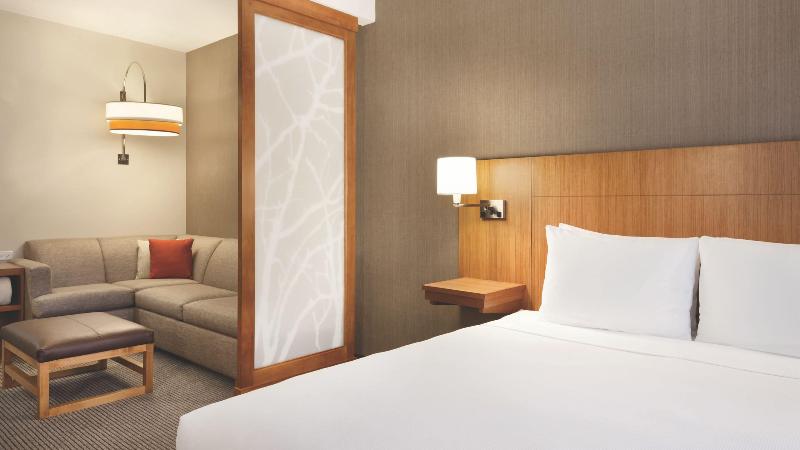 اتاق استاندارد با تخت بزرگ, Hyatt Place At Anaheim Resort/convention Center