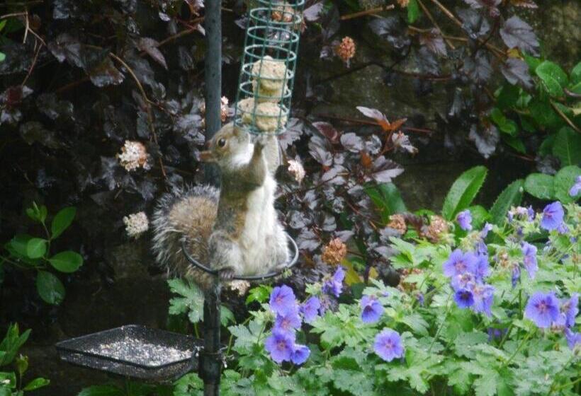 كابينة, Riding Farm