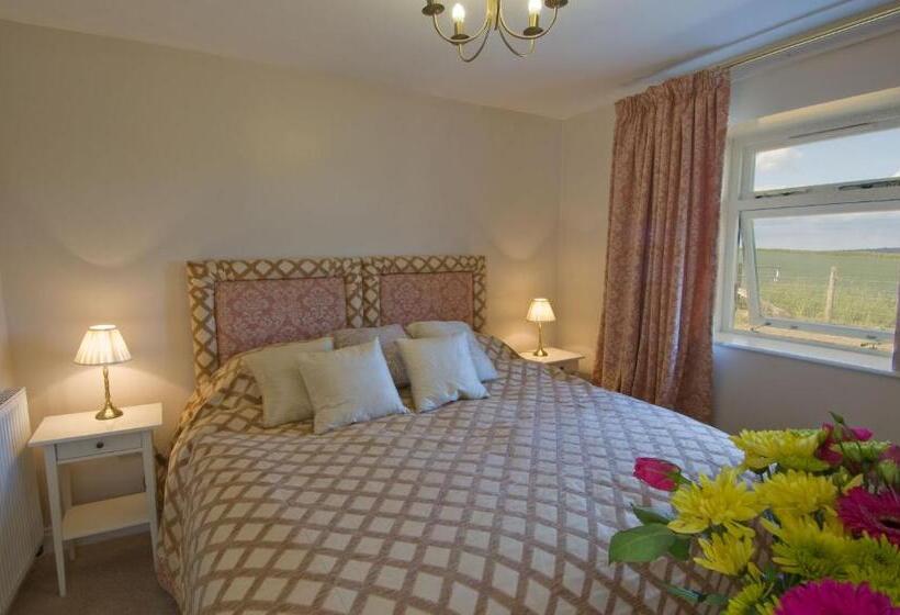 شقة غرفة واحدة, Riding Farm