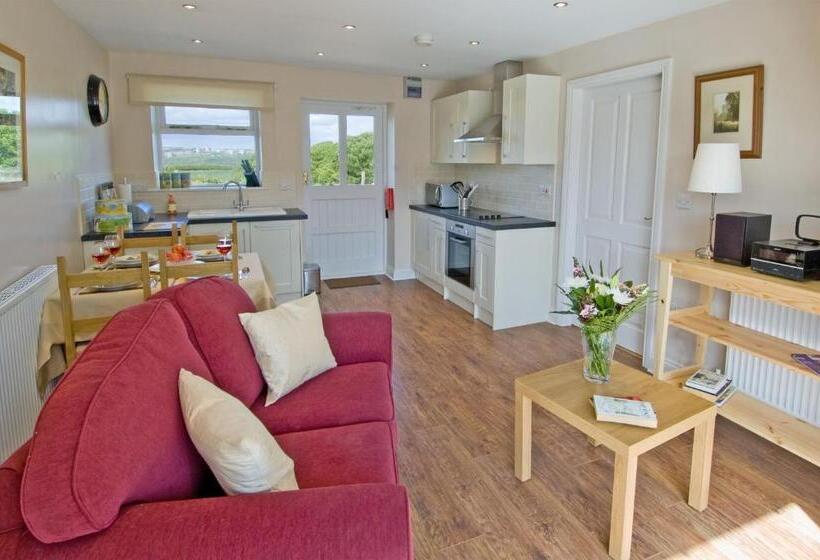 شقة غرفة واحدة, Riding Farm