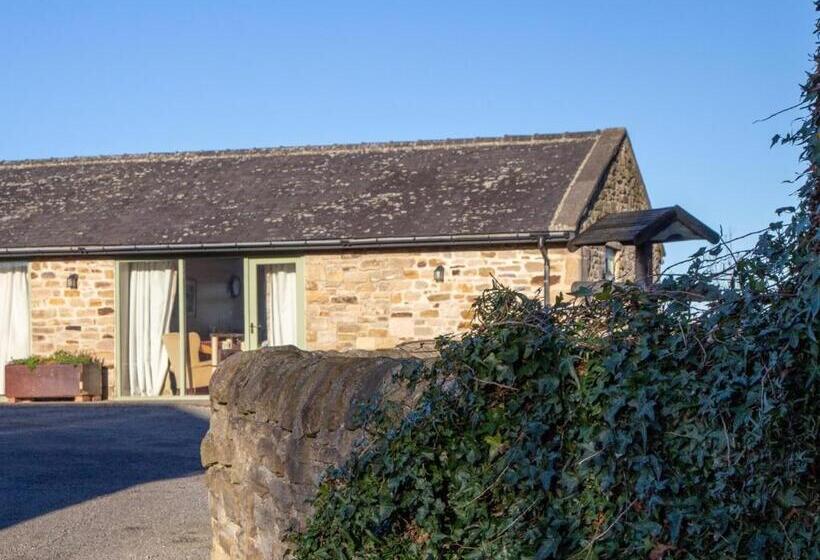 شقة غرفة واحدة, Riding Farm