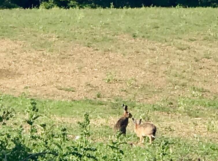 منزل غرفة نوم واحدة, Riding Farm
