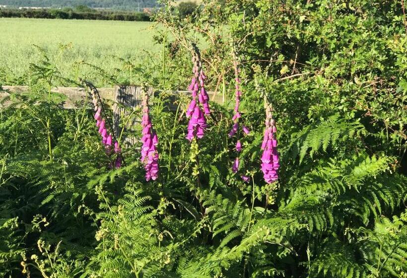 منزل غرفة نوم واحدة, Riding Farm