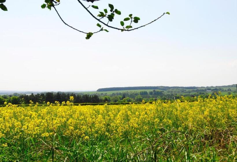 غرفة قياسية فردية, Riding Farm