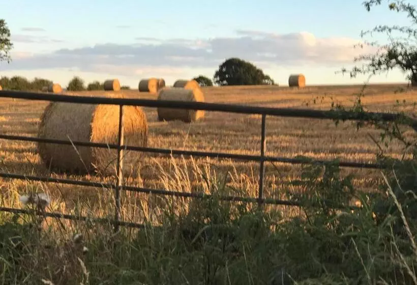 キングサイズベッドのスタンダードルーム, Riding Farm