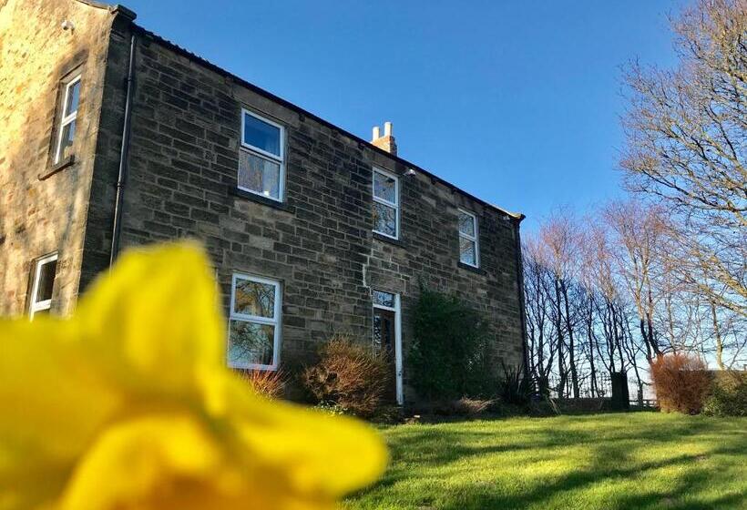 غرفة قياسية سرير كينج, Riding Farm