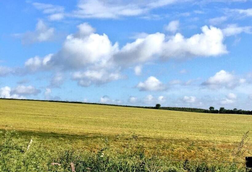 كابينة, Riding Farm