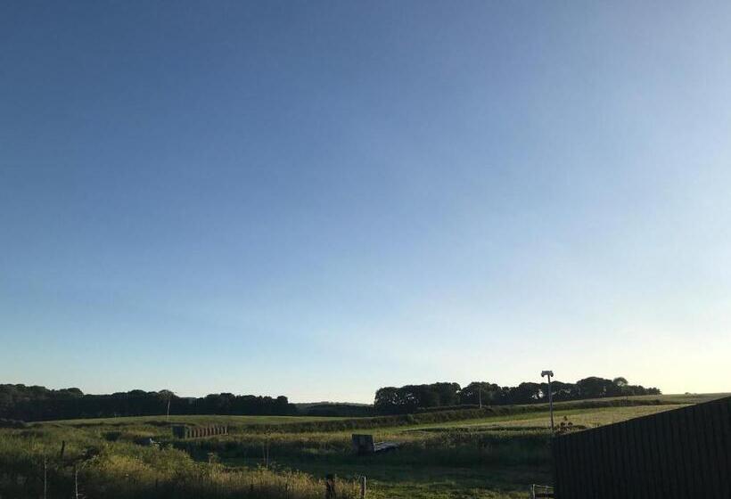 شقة غرفة واحدة, Riding Farm