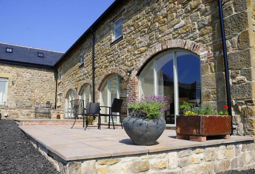 غرفة أساسية ثلاثية, Riding Farm