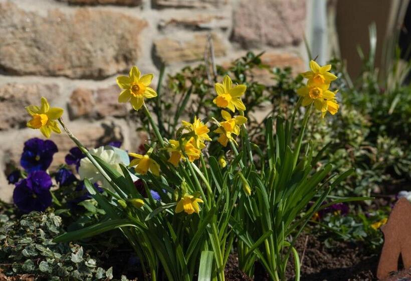 غرفة أساسية ثلاثية, Riding Farm