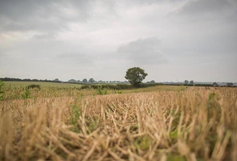 منزل غرفة نوم واحدة, Riding Farm