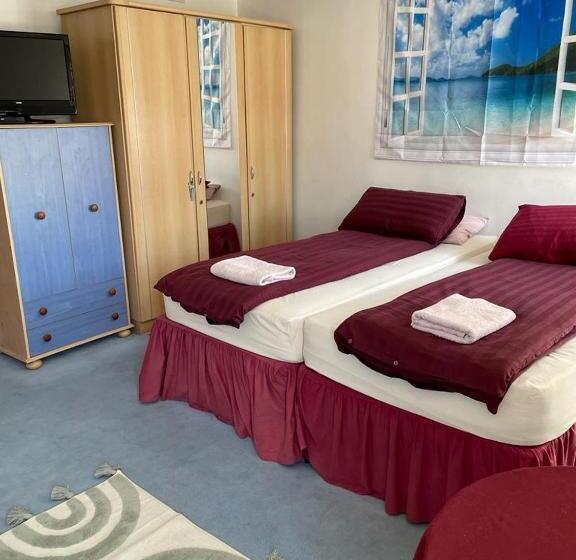 Camera Quadrupla Standard, The Blue Moon