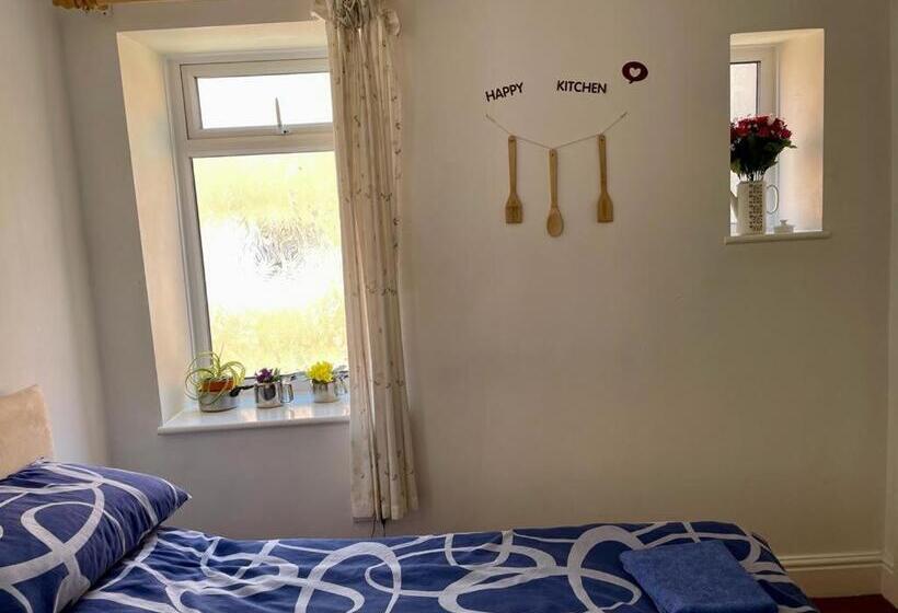 Camera Standard, The Blue Moon