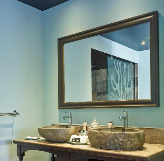 小型套房, Villa Delisle Hôtel & Spa