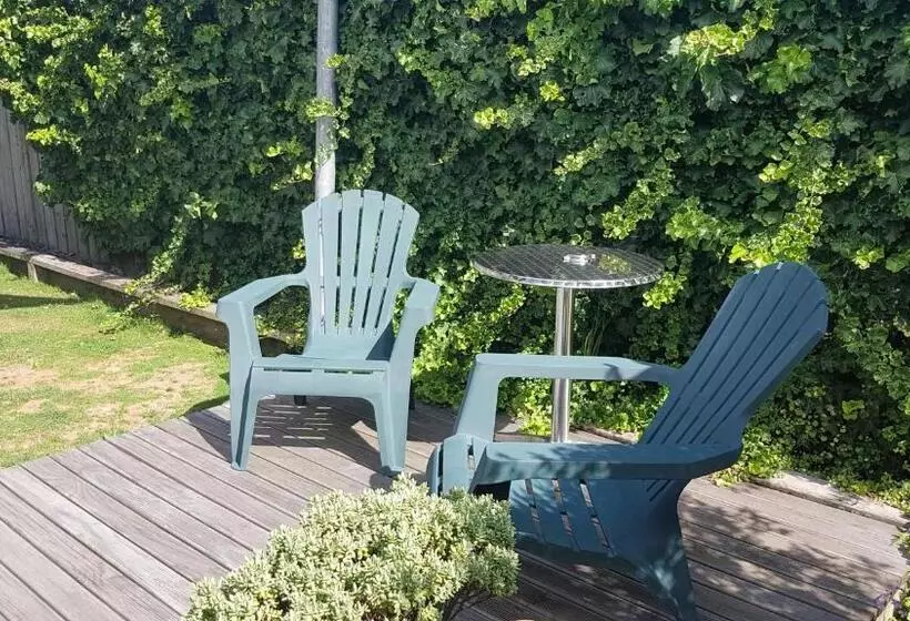ベーシックワンルーム, Accent On Taupo Motor Lodge