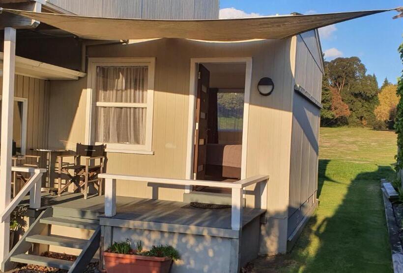 Basic Studio, Accent On Taupo Motor Lodge
