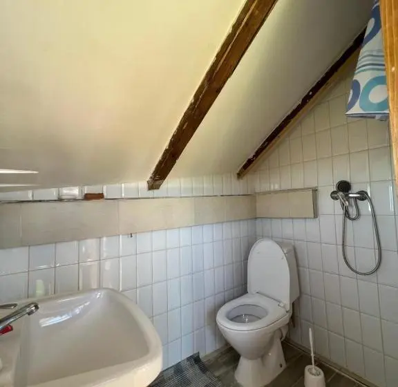 家族用バンガロー, Casa Traditionala Ardeleana