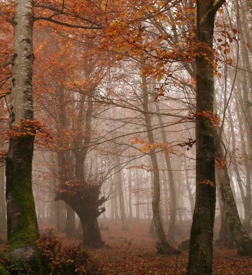 اتاق استاندارد با چشمانداز کوهستان, Albergue La Torre