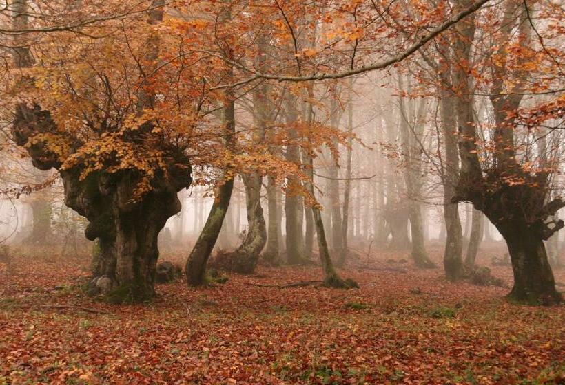 اتاق استاندارد با چشمانداز کوهستان, Albergue La Torre