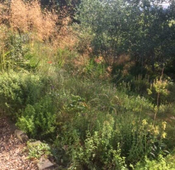 １ベッドルームハウス, Bank Farm House