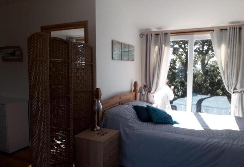 １ベッドルームハウス, Bank Farm House