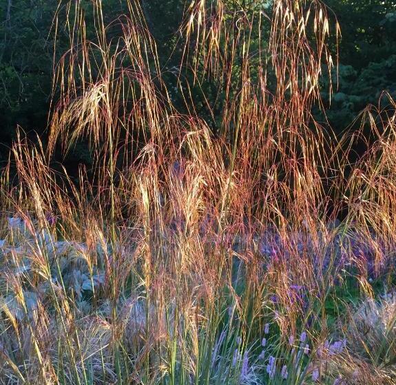 １ベッドルームハウス, Bank Farm House