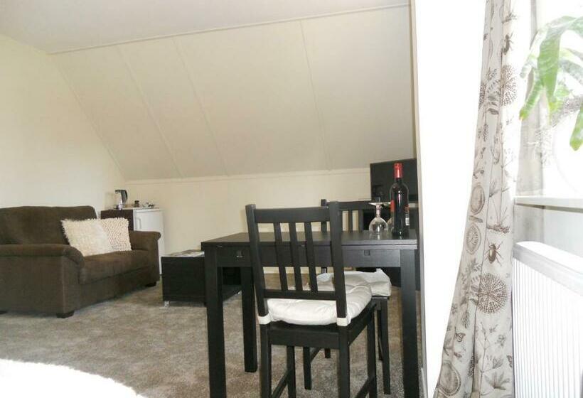 חדר סטנדרט, Gezond Boeren Verstand