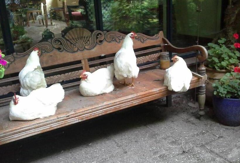 חדר סטנדרט, Pieni Talo