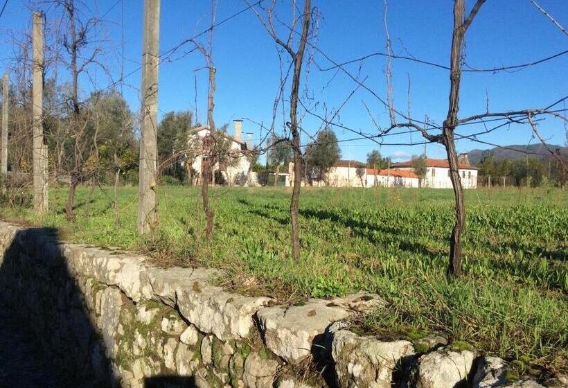 اتاق خانوادگی, Quinta De Areias