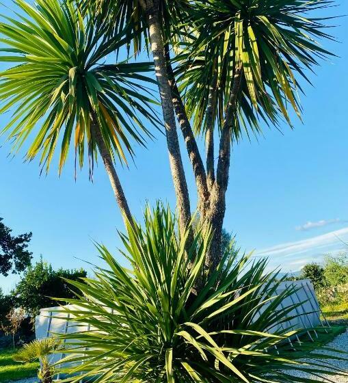 اتاق استاندارد با سرویس بهداشتی مشترک, Quinta De Areias