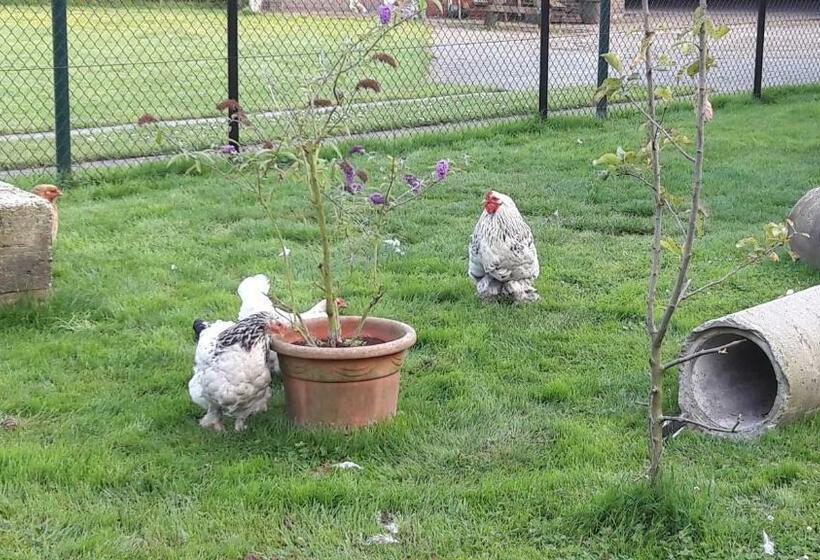 带共用浴室的标准房间, Bed & Breakfast “ Gastvrij Onthaal “