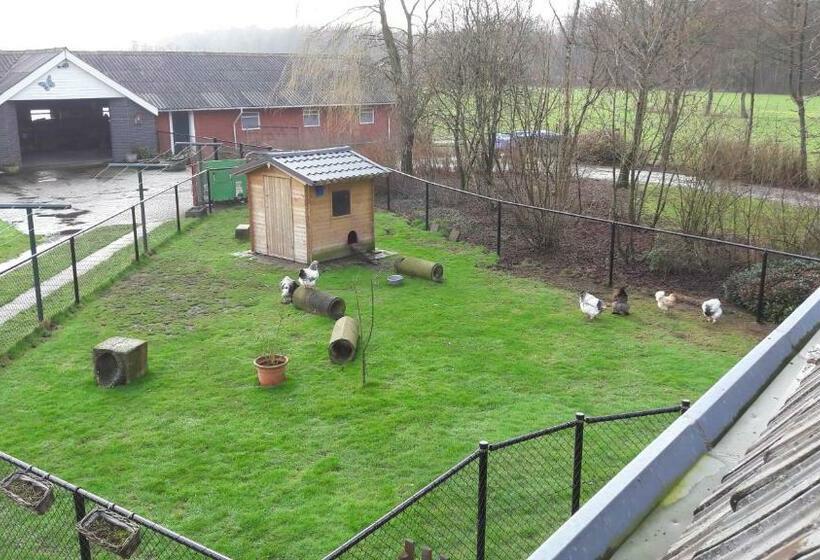 带共用浴室的标准房间, Bed & Breakfast “ Gastvrij Onthaal “