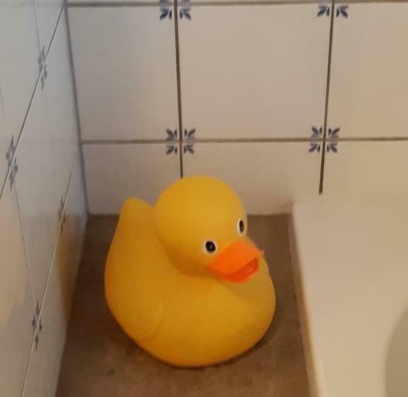 带共用浴室的标准房间, Bed & Breakfast “ Gastvrij Onthaal “