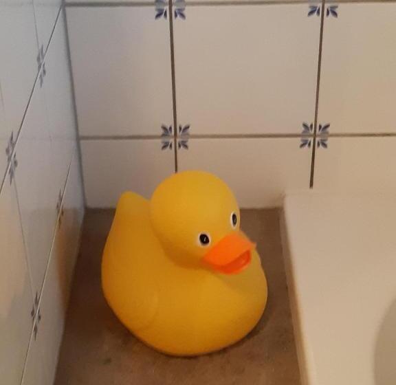 标准房带园景, Bed & Breakfast “ Gastvrij Onthaal “